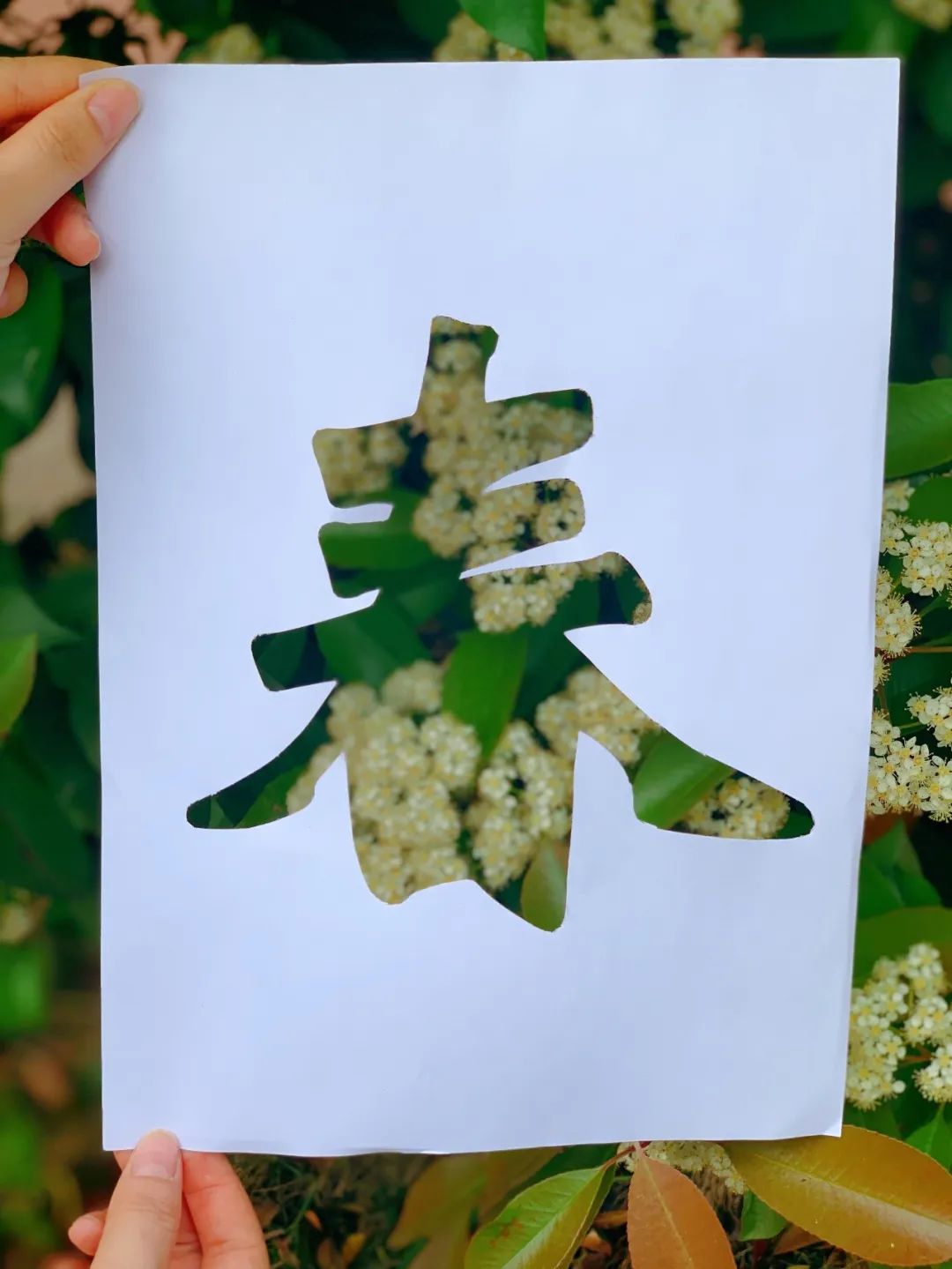 中国·7790必发集团(股份)有限公司-官方网站