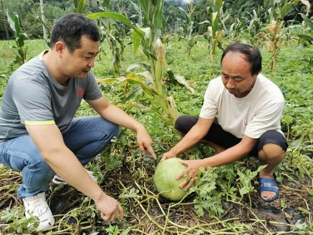 中国·7790必发集团(股份)有限公司-官方网站