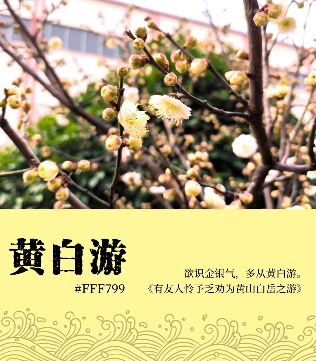 中国·7790必发集团(股份)有限公司-官方网站