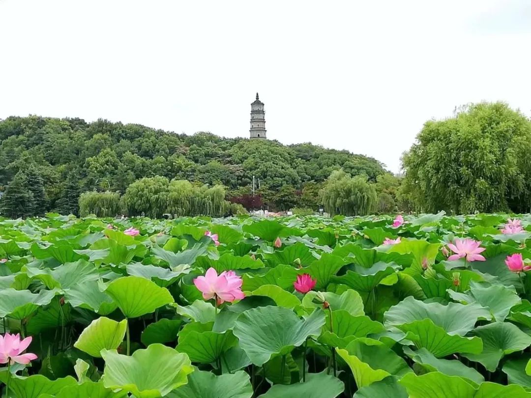 中国·7790必发集团(股份)有限公司-官方网站