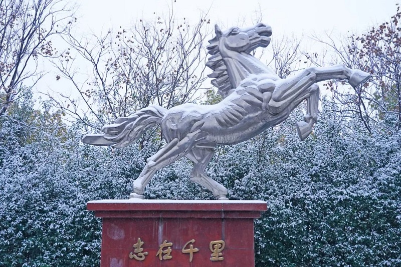 中国·7790必发集团(股份)有限公司-官方网站