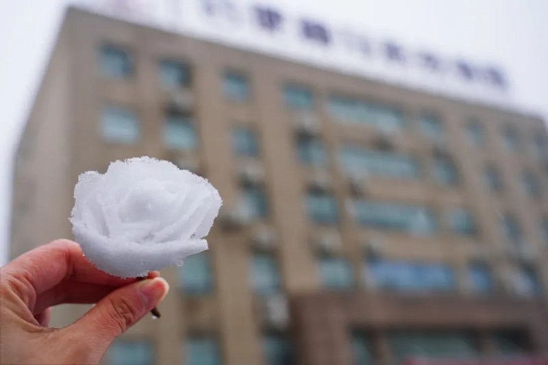 中国·7790必发集团(股份)有限公司-官方网站