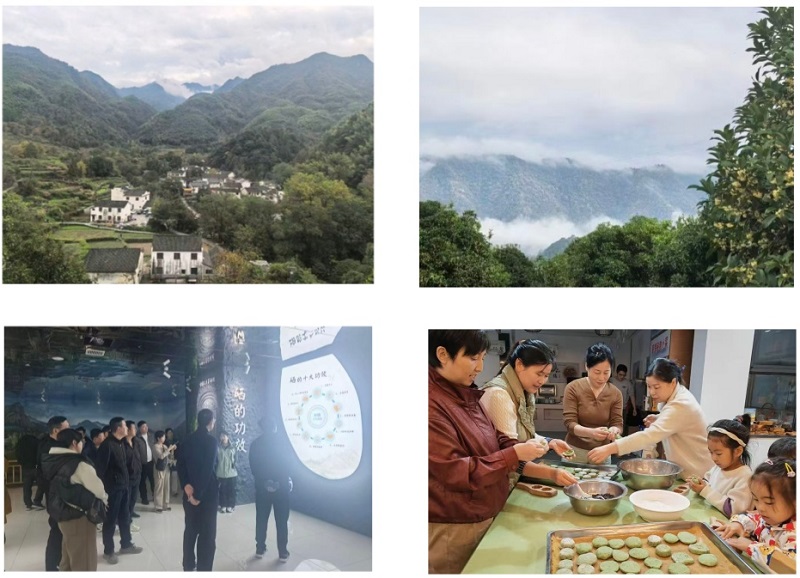 中国·7790必发集团(股份)有限公司-官方网站